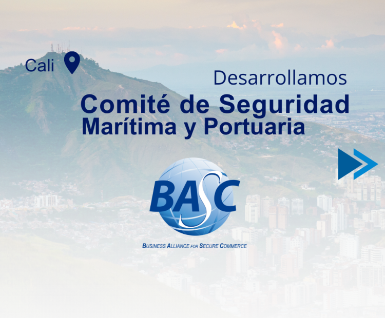 Comité de Seguridad Marítima y Portuaria 